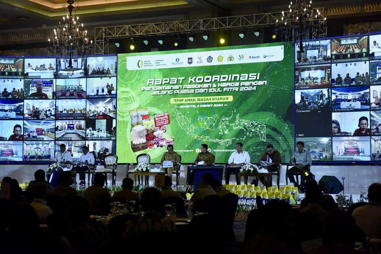 WhatsApp Image 2024-03-05 at 00.19.24