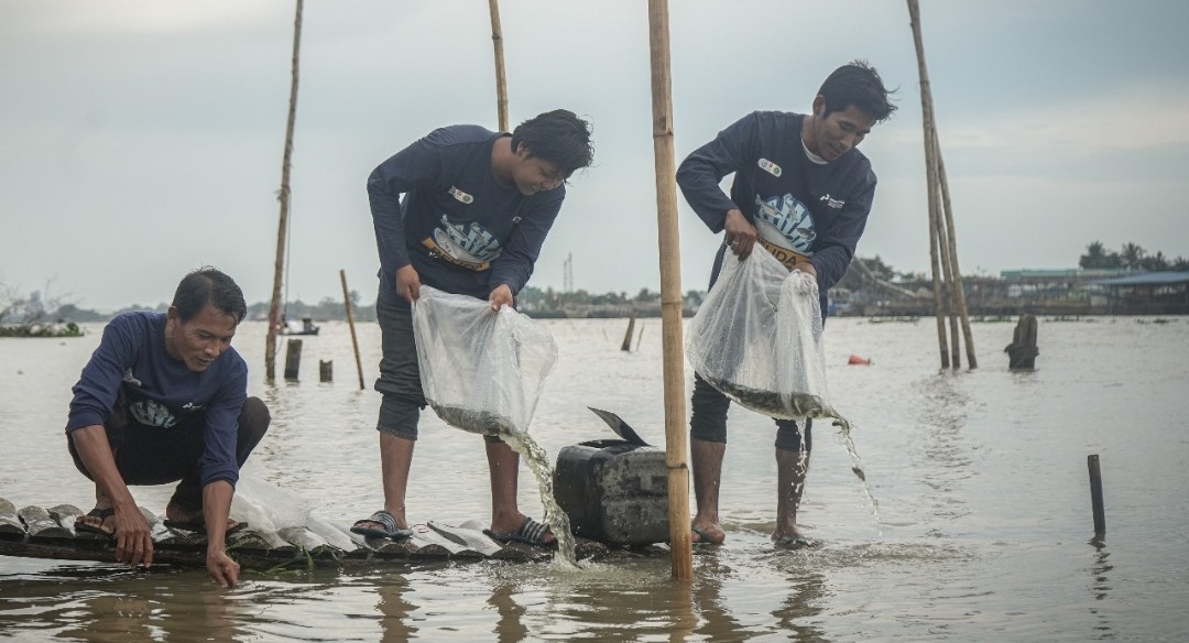 Screenshot_2024-11-07-07-13-21-93_6012fa4d4ddec268fc5c7112cbb265e7~2